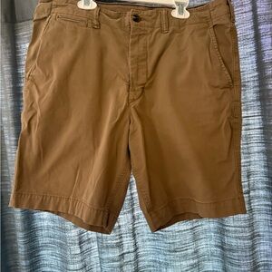 American Eagle Outfitters Brown Flat Front Shorts